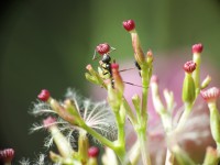 /album/fenykepgaleria/dscf1839-jpg/