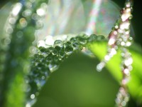 /album/fenykepgaleria/dscf1886-jpg/