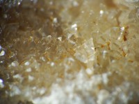 /album/fenykepgaleria/dscf0199-jpg1/