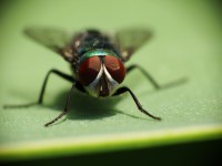 /album/fenykepgaleria/s0090250-jpg/