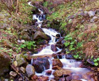 /album/fenykepgaleria/a11-jpg/