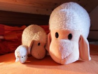 /album/fenykepgaleria/dscf0422-jpg/