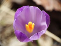 /album/fenykepgaleria/a3-jpg1/