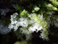 /album/fenykepgaleria/dscf3019-jpg/