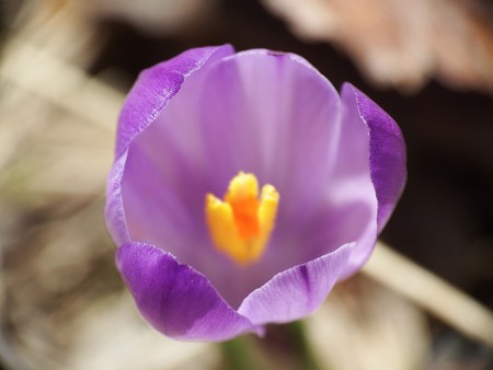 Itt a tavasz - április 8